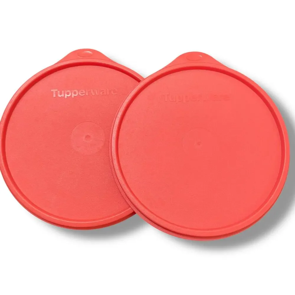 Tupperware Replacement Seal 6.5
